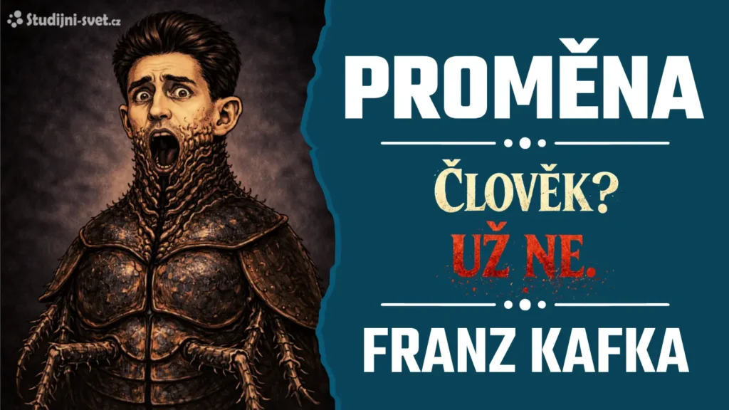 Rozbor díla Proměna
